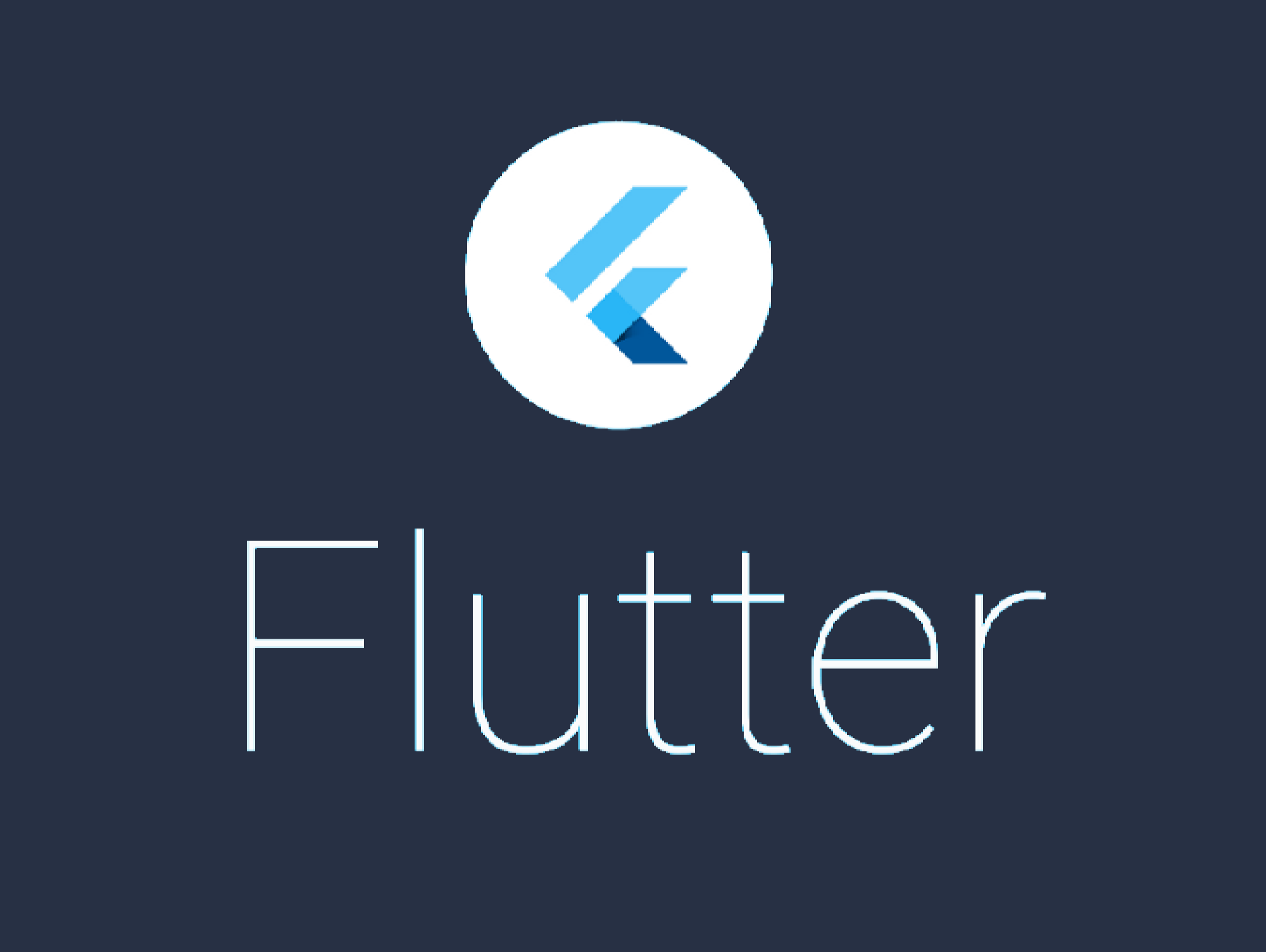 flutter new